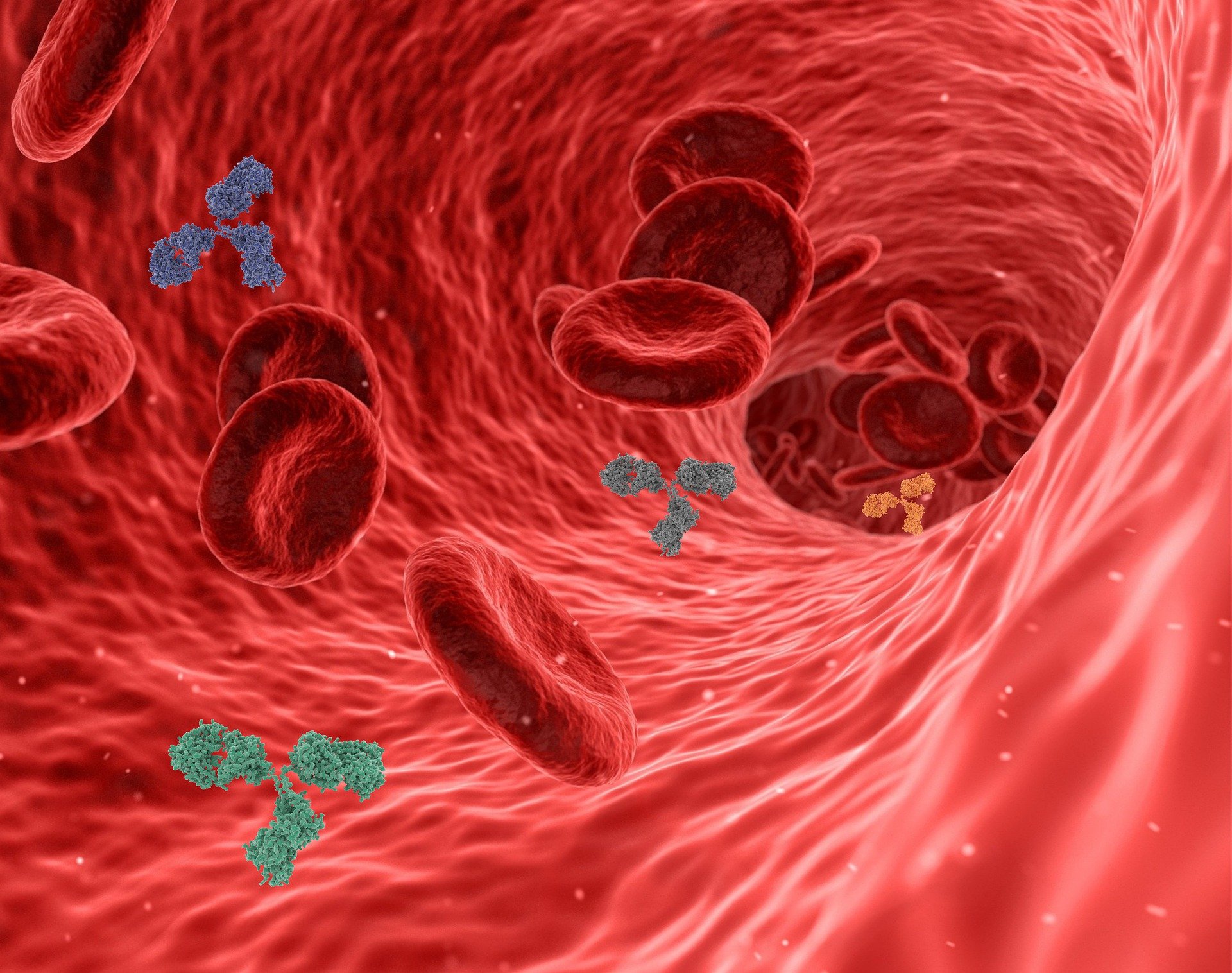 Malattie autoimmuni e microbiota: ecco le ultime scoperte