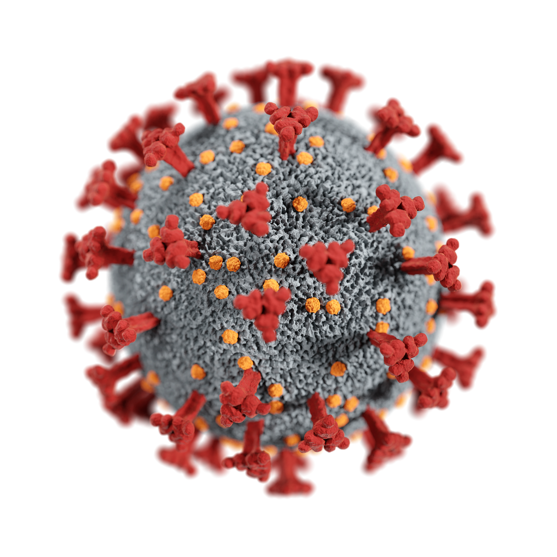 Il microbiota ci protegge dal covid-19?